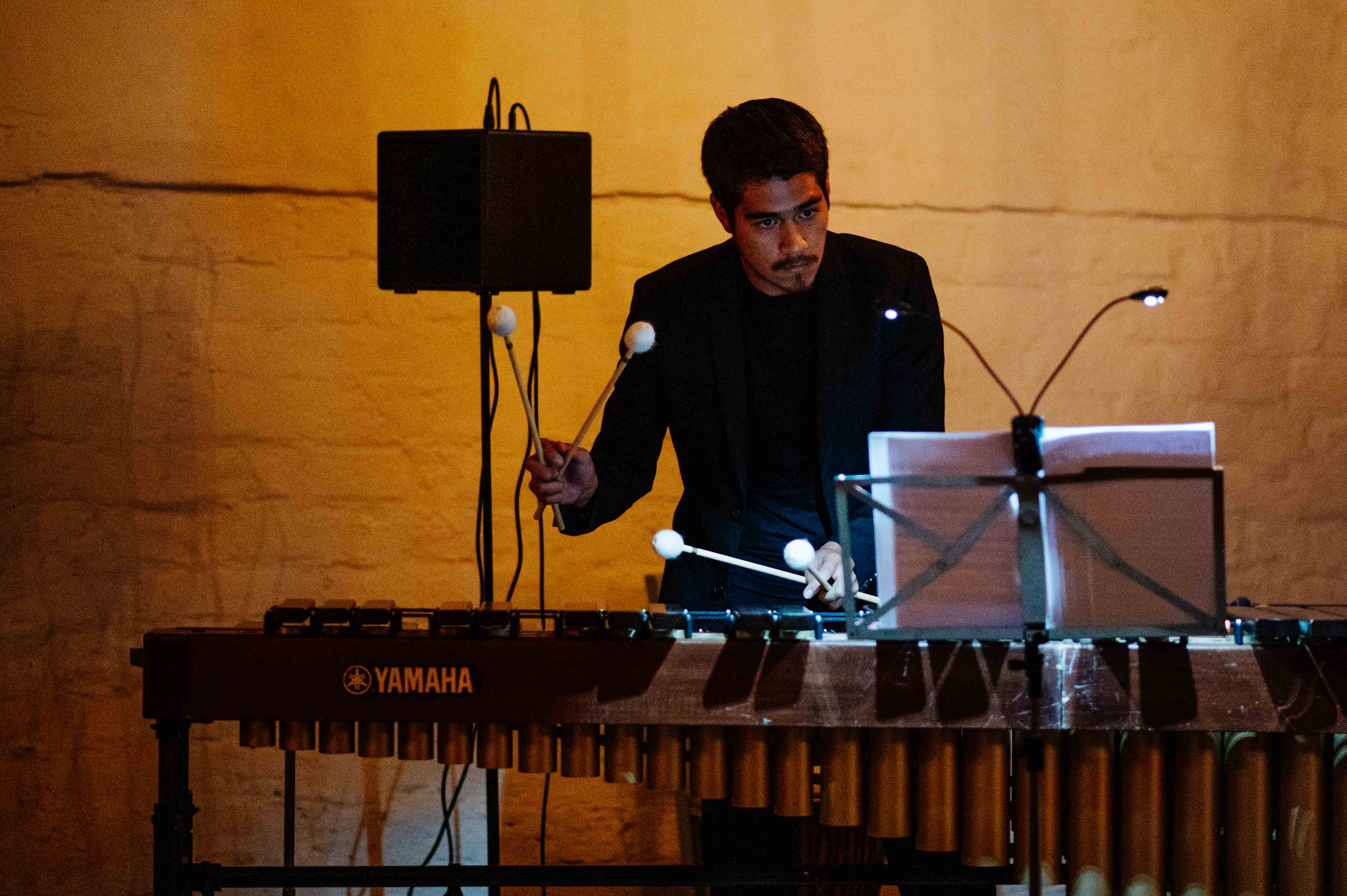 ODEN ZUR NACHT SHADOWS 2 Foto Sonja Filitz.jpg